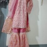 Soft Net Lehenga